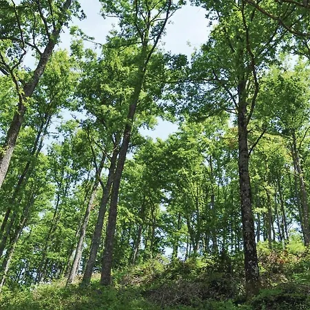 Coldifiore * Monte Grimano