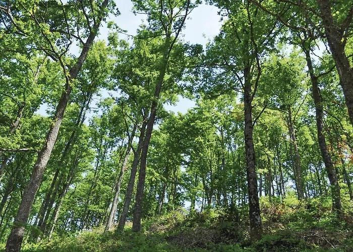 Coldifiore * Monte Grimano